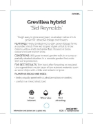 Picture of GREVILLEA SID REYNOLDS                                                                                                                                