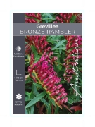 Picture of GREVILLEA BRONZE RAMBLER                                                                                                                              