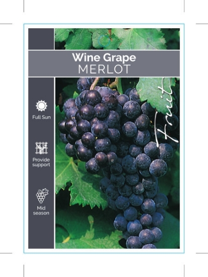 Picture of FRUIT GRAPE WINE MERLOT