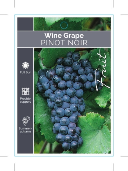 Picture of FRUIT GRAPE WINE PINOT NOIR