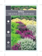 Picture of ERICA HEATH OR HEATHER - MIXED PICTURE (UNNAMED VA                                                                                                    