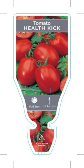 Picture of VEGETABLE TOMATO HEALTH KICK (Lycopersicon esculentum)                                                                                                