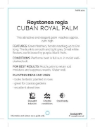 Picture of PALM ROYSTONEA REGIA CUBAN ROYAL PALM Jumbo Tag                                                                                                       