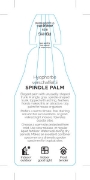 Picture of PALM HYOPHORBE VERSCHAFFELTII SPINDLE                                                                                                                 