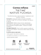 Picture of CORREA REFLEXA FAT FRED NATIVE FUCHSIA                                                                                                                